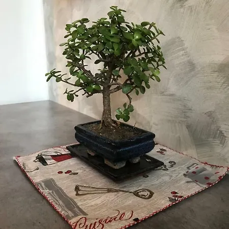 Apartment Accogliente Bilocale *